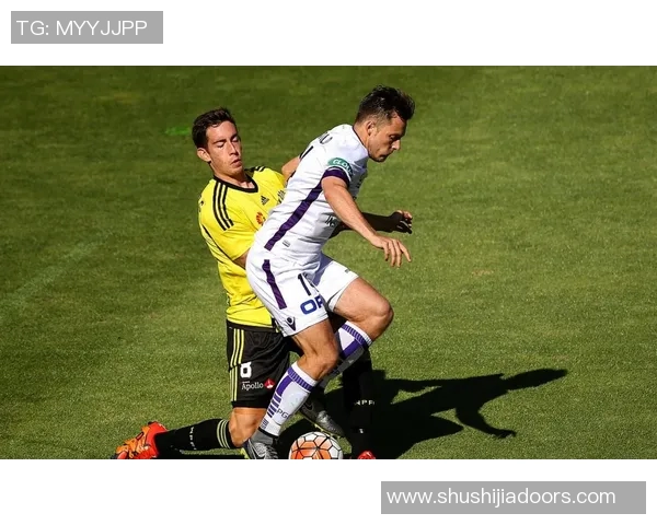 墨尔本胜利与惠灵顿凤凰激战在即球迷期待精彩对决与精彩进球